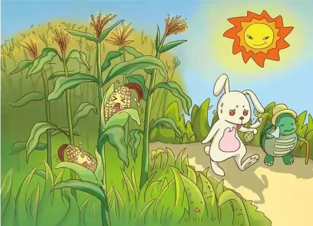 獻給一 線(xiàn)的幹部職工(gōng)們的防暑降溫小(xiǎo)知識 //楚基物(wù)流